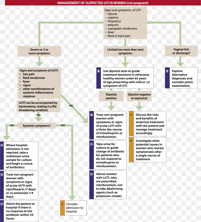 Urinary Tract Infection Excretory System Medical Guideline MRSA Super Bug, PNG, 2181x2413px, Urinary Tract Infection, Antibiotics, Area, Bacteria, Bacterial Disease Download Free