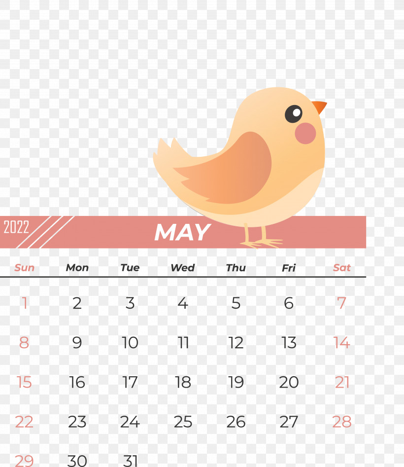 Birds Beak Calendar Meter Science, PNG, 4184x4837px, Birds, Beak, Biology, Calendar, Meter Download Free