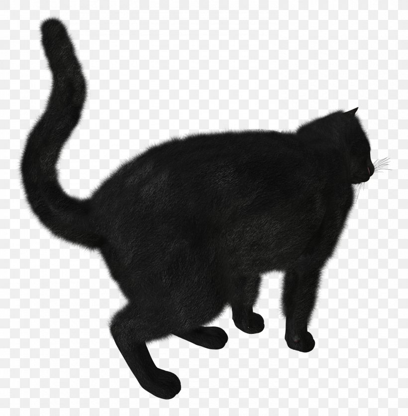 Black Cat Kitten, PNG, 1490x1520px, Cat, Black, Black And White, Black Cat, Bombay Download Free