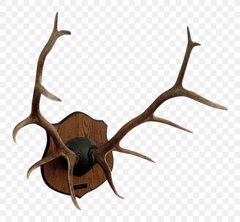 Red Deer Antler Elk Moose, PNG, 820x761px, Deer, Antler, Chandelier, Commemorative Plaque, Elk Download Free