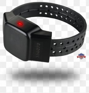 Home - Ankle Monitor Electronic Tagging House Arrest Sentinel Offender Services Anklet PNG