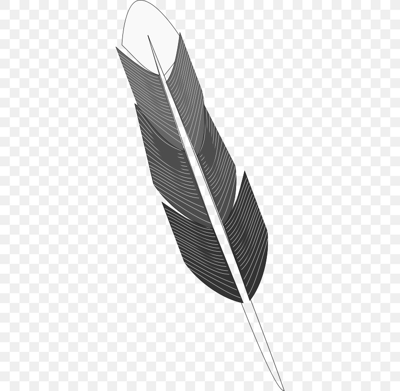 Feather Grayscale Black And White Drawing, PNG, 346x800px, Feather, Black And White, Color, Coloring Book, Drawing Download Free