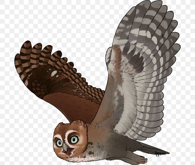 Owl Fauna Beak Feather, PNG, 700x695px, Owl, Beak, Bird, Bird Of Prey, Fauna Download Free