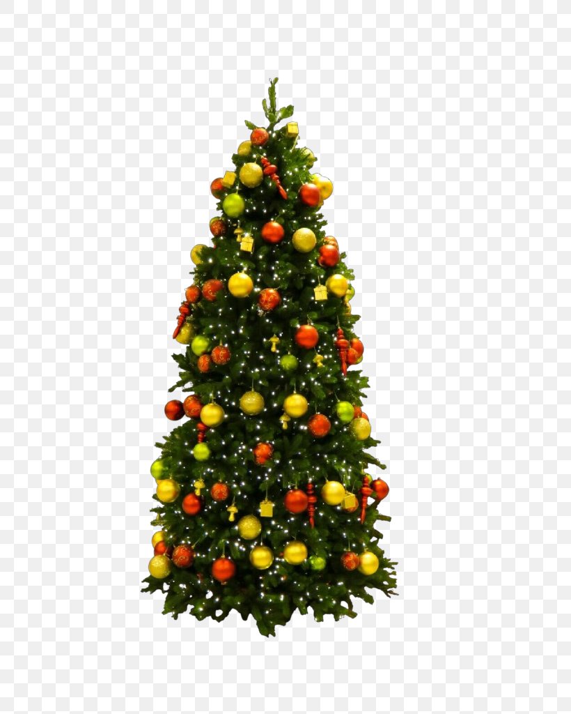 Christmas Tree, PNG, 742x1024px, Christmas Tree, Christmas, Christmas Decoration, Christmas Ornament, Colorado Spruce Download Free