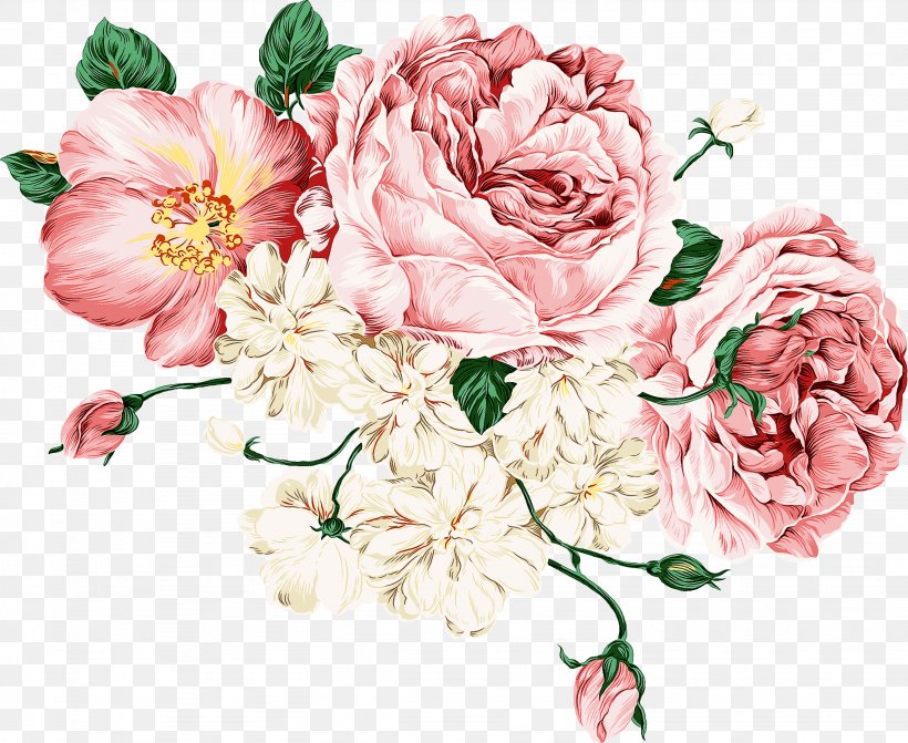 Garden Roses, PNG, 2869x2351px, Flower, Cut Flowers, Flowering Plant, Garden Roses, Petal Download Free