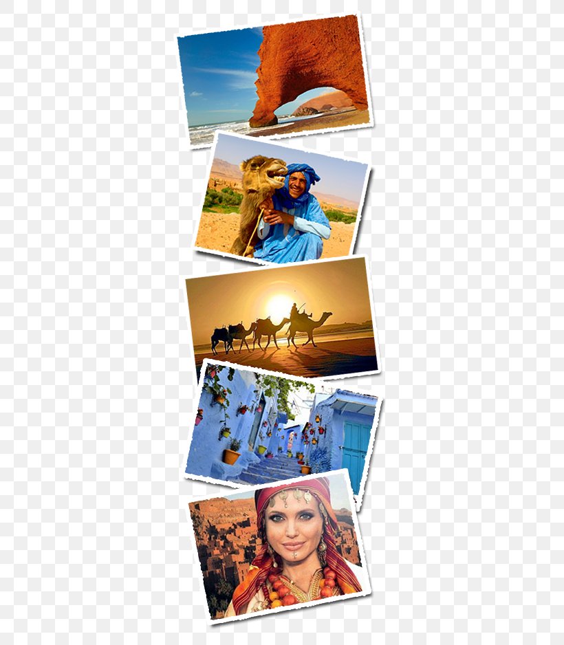 Morocco Tours, Morocco Tours Sahara Collage Travel Tourism In Morocco Poster, PNG, 340x938px, Collage, Art, Honeymoon, Hotel, Morocco Download Free