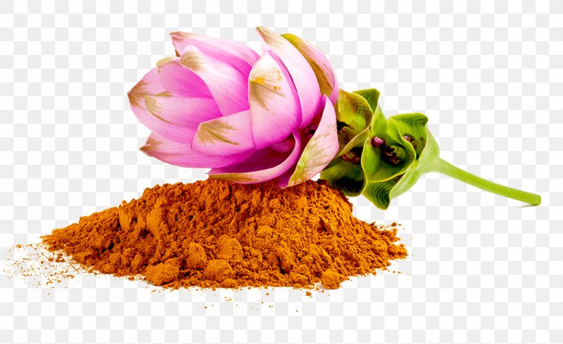 Turmeric Curcumin Organic Food Spice Siam Tulip, PNG, 1000x612px, Turmeric, Curcumin, Curcuminoid, Flower, Food Download Free