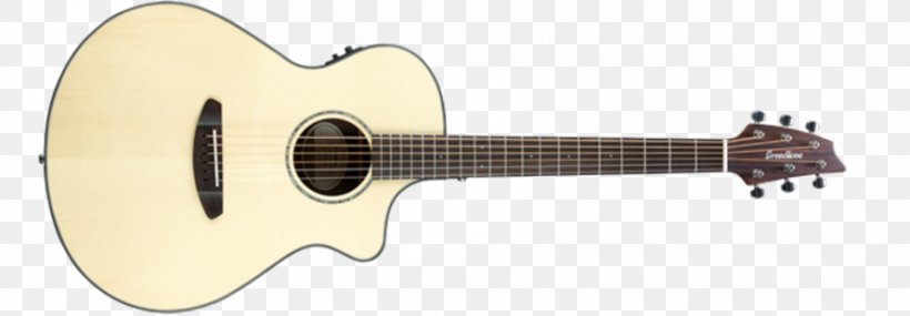 Breedlove Guitars Acoustic Guitar Concert Electric Guitar, PNG, 890x310px, Watercolor, Cartoon, Flower, Frame, Heart Download Free