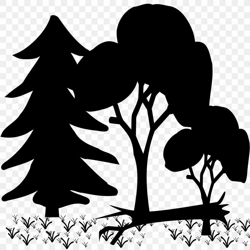 Clip Art Silhouette Vector Graphics Forest, PNG, 2000x2000px, Silhouette, Art, Blackandwhite, Botany, Branch Download Free