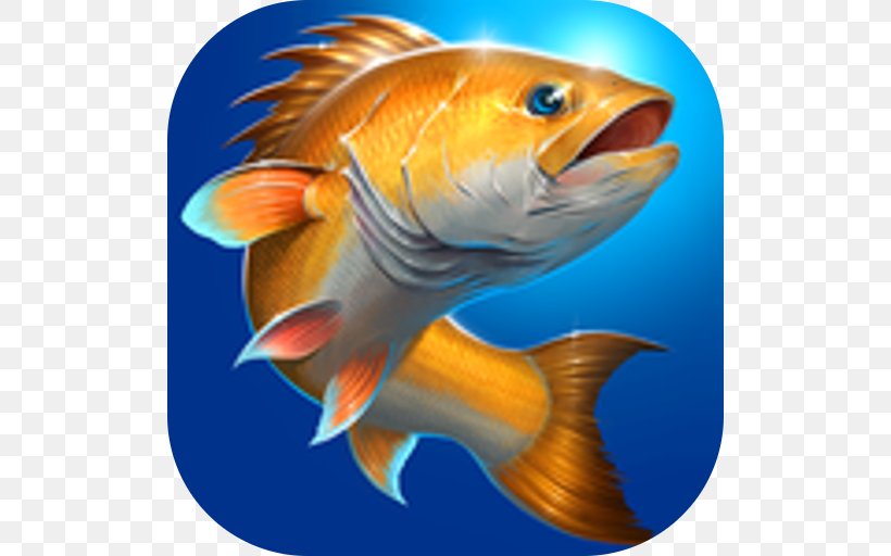 Fishing Hook Carpcraft: Carp Fishing Ace Fishing: Wild Catch Android, PNG, 512x512px, Fishing Hook, Android, Coral Reef Fish, Fauna, Fin Download Free