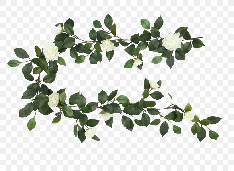 Plant Garland Cut Flowers Flower Bouquet, PNG, 800x600px, Plant, Branch, Calla Lily, Camellia, Cut Flowers Download Free