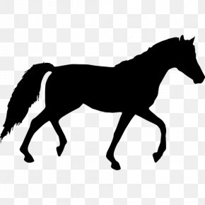 Walking Horse - Tennessee Walking Horse Equestrian Clip Art PNG