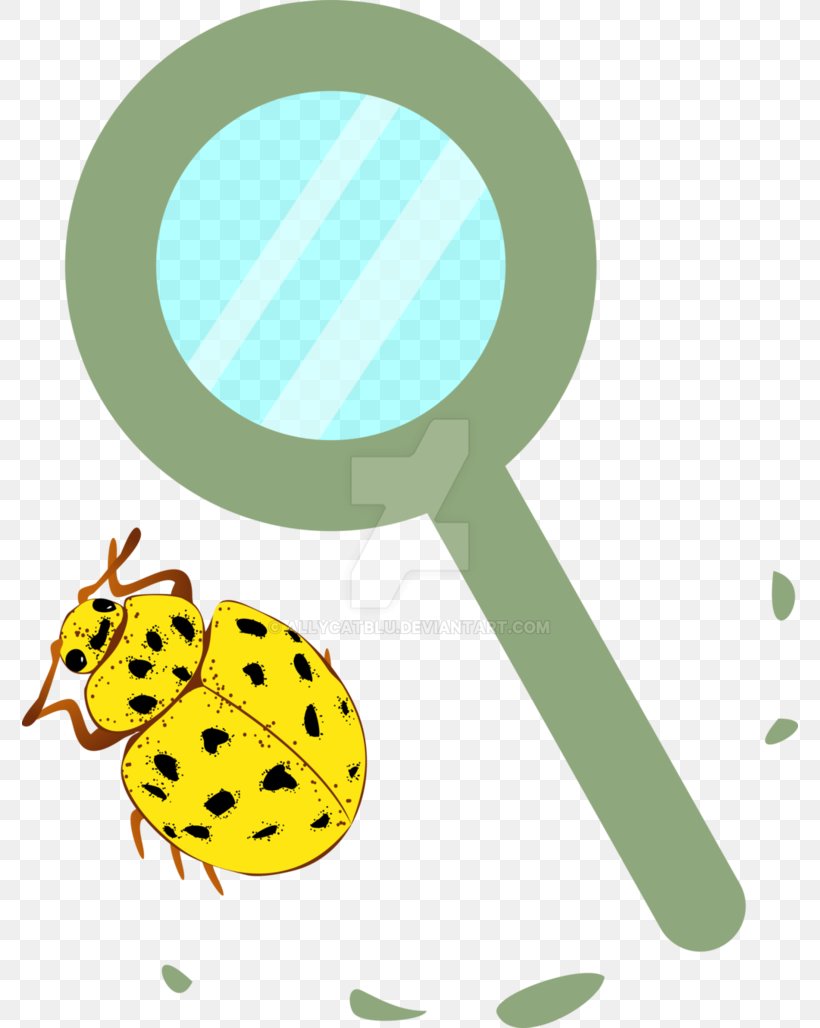 Insect Leaf Clip Art, PNG, 776x1028px, Insect, Food, Grass, Green, Invertebrate Download Free