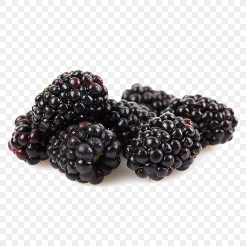 Tayberry Blackberry Marionberry Crumble, PNG, 1000x1000px, Tayberry, Berry, Bilberry, Blackberry, Boysenberry Download Free