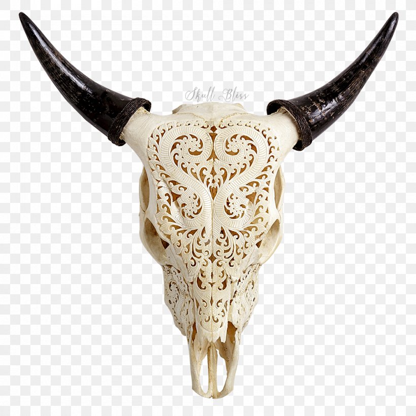 Texas Longhorn Skull Jersey Cattle Bull, PNG, 1000x1000px, Texas Longhorn, Antler, Bone, Bull, Calf Download Free