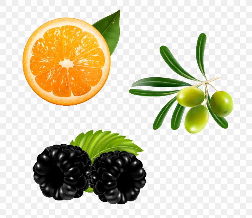 Vegetarian Cuisine Orange Blackberry Fruit, PNG, 1024x887px, Clementine, Berry, Blackberry, Citrus, Food Download Free