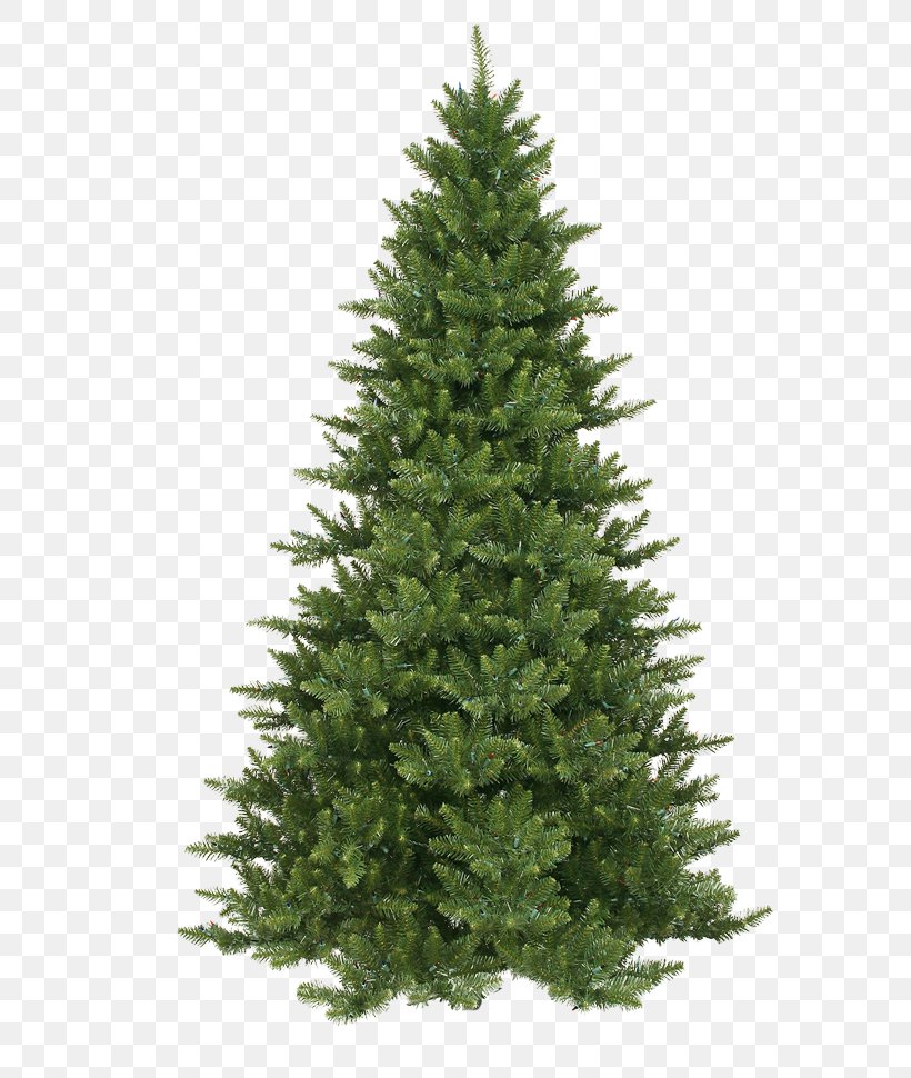 Artificial Christmas Tree Pre-lit Tree, PNG, 603x970px, Christmas Tree, Artificial Christmas Tree, Balsam Hill, Biome, Christmas Download Free