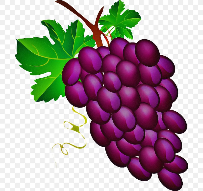 Grape Natural Foods Seedless Fruit Grapevine Family Radish, PNG, 700x773px, Grape, Food, Fruit, Grape Leaves, Grapevine Family Download Free