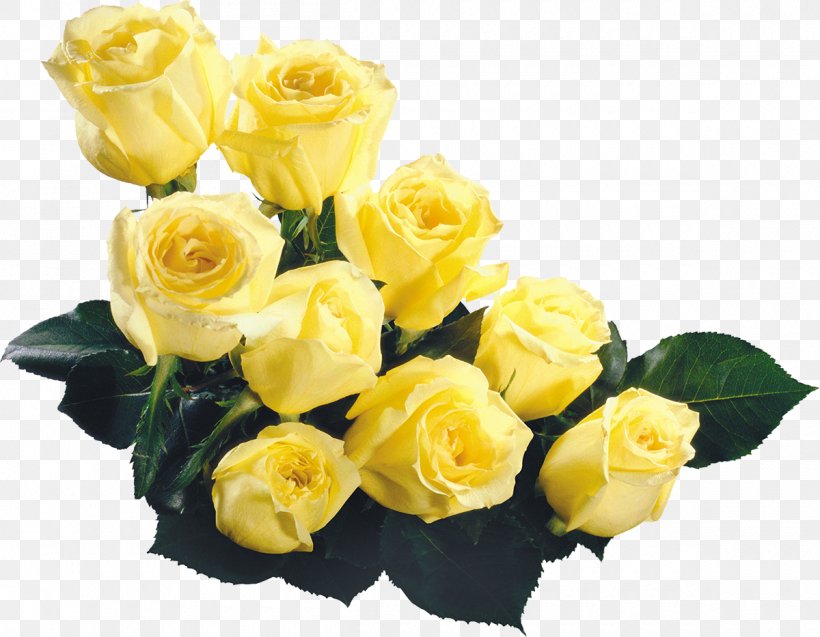 Rose Flower Bouquet Yellow Clip Art, PNG, 1200x933px, Rose, Black Rose, Blog, Cut Flowers, Floral Design Download Free