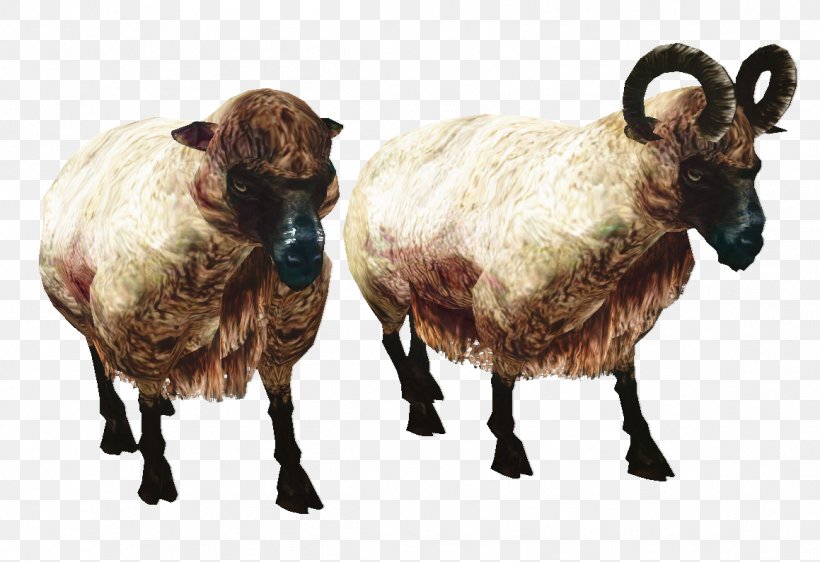 Sheep Clip Art Image, PNG, 1159x795px, 2048 X 1536, Sheep, Bighorn Sheep, Computer, Cowgoat Family Download Free