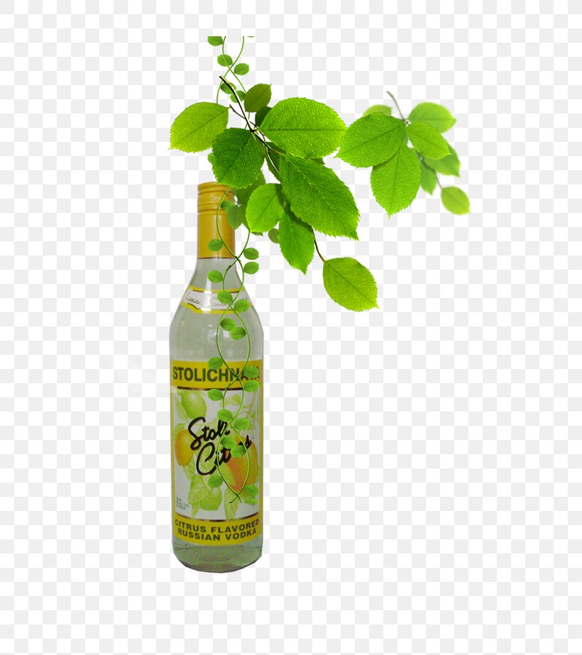 Soft Drink Apple Juice Carbonated Drink Lemon-lime Drink, PNG, 697x923px, Soft Drink, Apple Juice, Bottle, Carbonated Drink, Drink Download Free