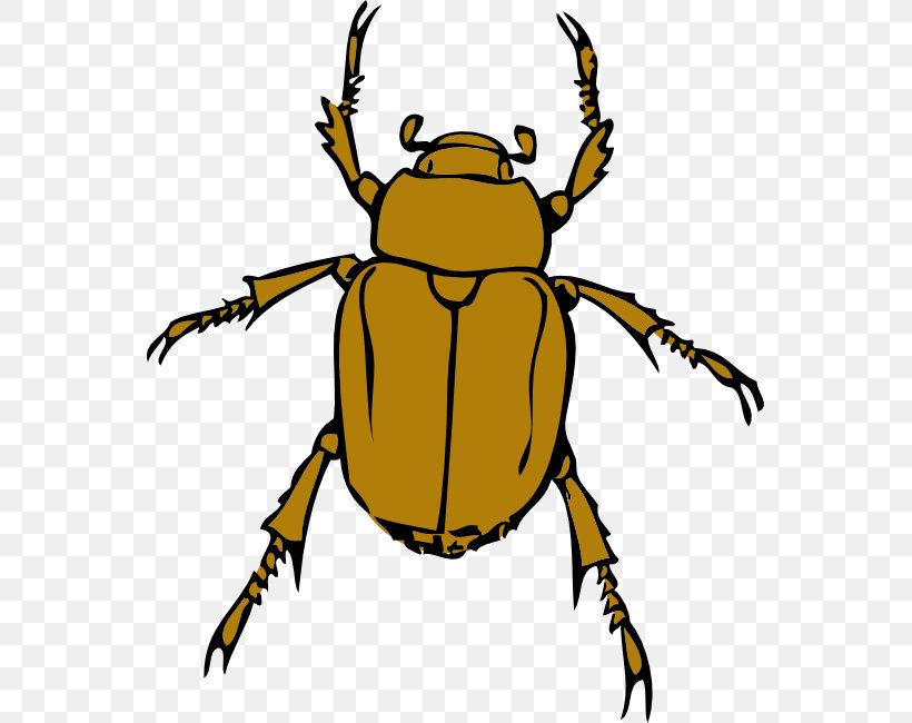 2017 Volkswagen Beetle Clip Art, PNG, 555x650px, 2017 Volkswagen Beetle, Arthropod, Artwork, Beak, Bee Download Free