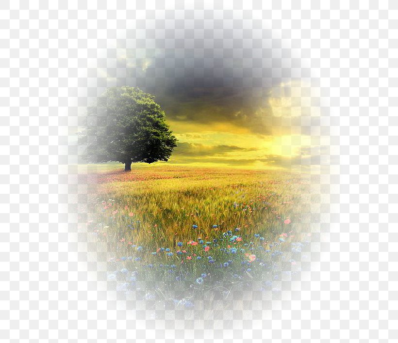 Landscape Photography Nature Painting Tree, PNG, 600x708px, Landscape, Atmosphere, Canvas, Grass, Impasto Download Free