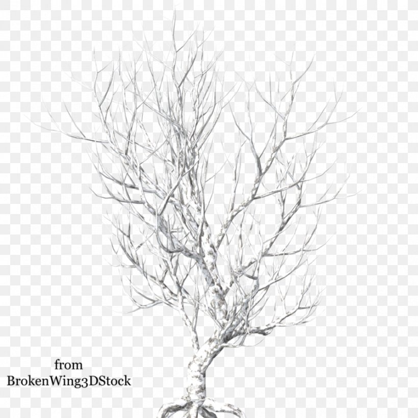 Tree Winter Light Clip Art, PNG, 894x894px, Tree, Black And White, Branch, Deviantart, Drawing Download Free