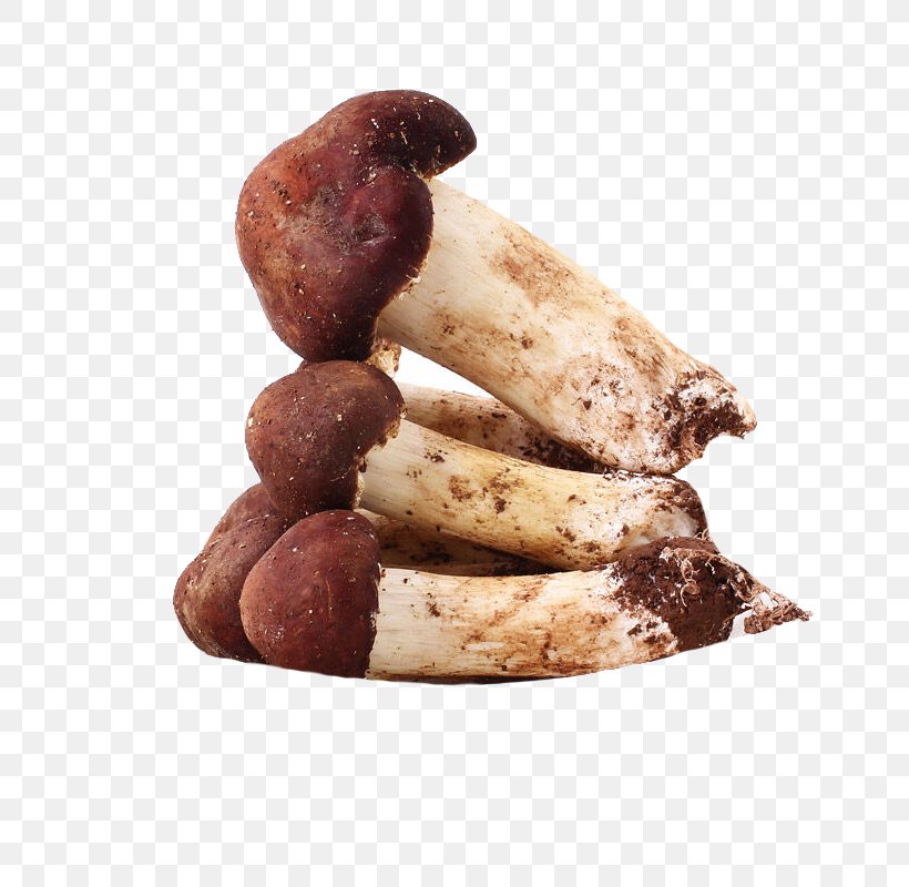 Agaricus Subrufescens Common Mushroom Extract Edible Mushroom Pileus, PNG, 800x800px, Agaricus Subrufescens, Agaricus, Boudin, Breakfast Sausage, Common Mushroom Download Free