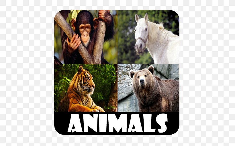 Animal Sounds For Kids Android, PNG, 512x512px, Android, Fauna, Google, Google Play, Google Play Games Download Free