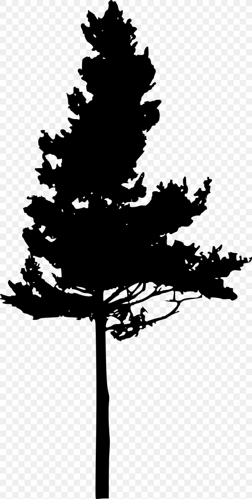 Silhouette Pine Clip Art, PNG, 1010x2000px, Silhouette, Black And White, Black Pine, Branch, Conifer Download Free