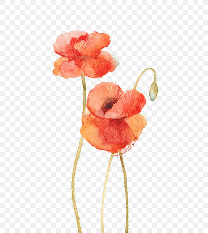 Flower Watercolor Painting Illustration, PNG, 600x920px, Flower, Cartoon, Coquelicot, Cut Flowers, Drawing Download Free