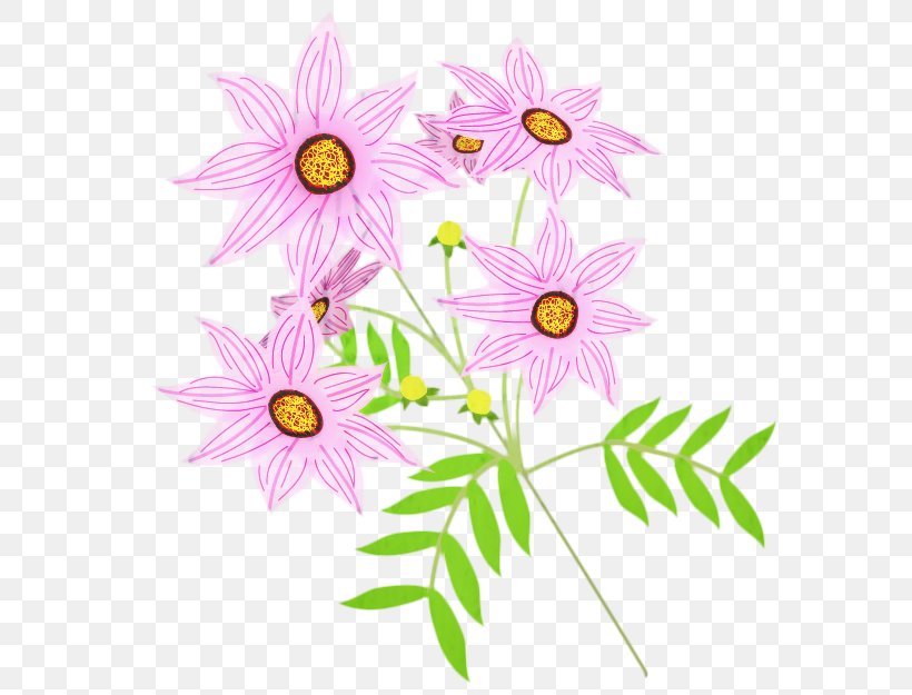 Pink Flower Cartoon, PNG, 625x625px, Oxeye Daisy, Branch, Chrysanthemum, Cosmos, Dahlia Download Free