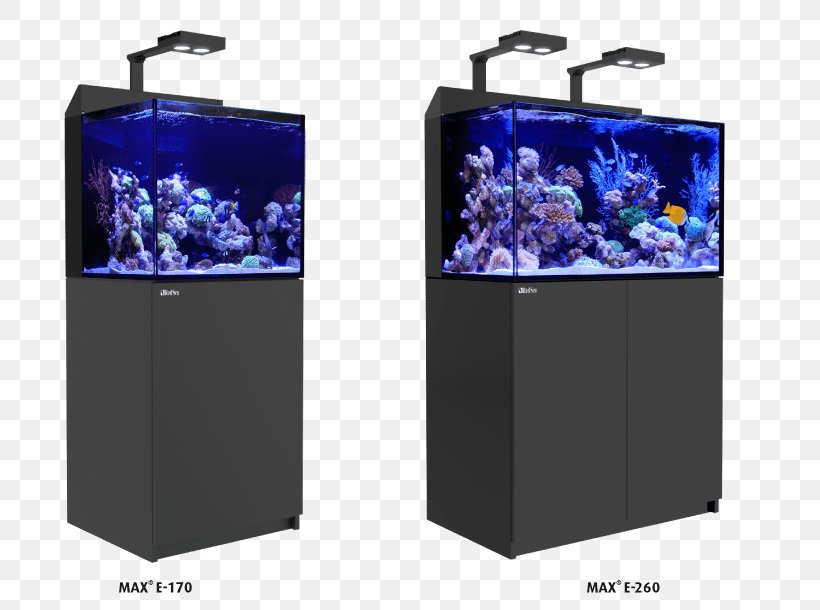 Reef Aquarium Coral Reef Red Sea, PNG, 791x610px, Reef Aquarium, Aquarium, Aquatic Animal, Art, Cobalt Blue Download Free