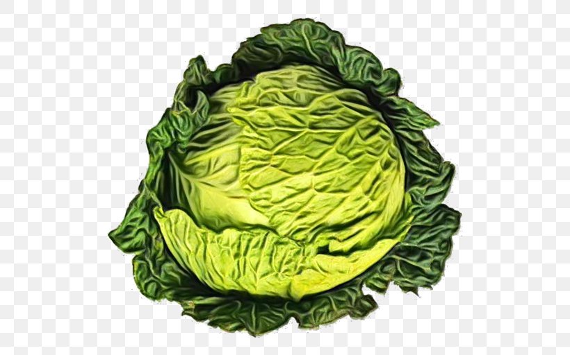 Cabbage Green Savoy Cabbage Vegetable Leaf Vegetable, PNG, 512x512px, Watercolor, Cabbage, Cruciferous Vegetables, Green, Leaf Download Free