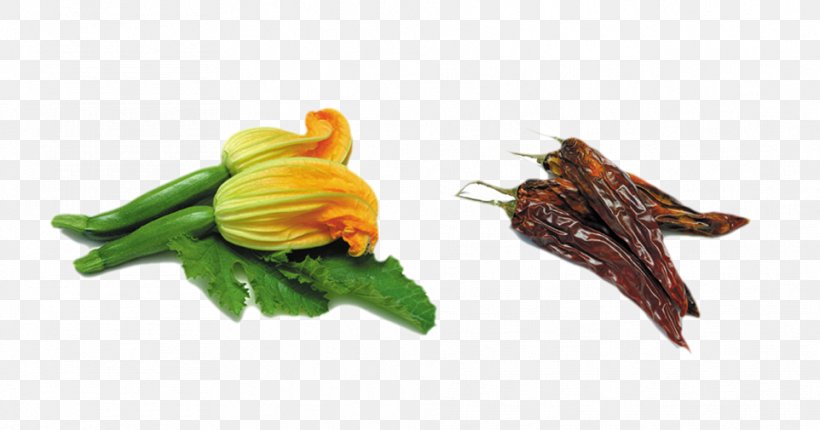 Italian Cuisine Stuffing Squash Blossom Zucchini Flower, PNG, 962x505px, Italian Cuisine, Cooking, Cucurbita, Edible Flower, Flower Download Free