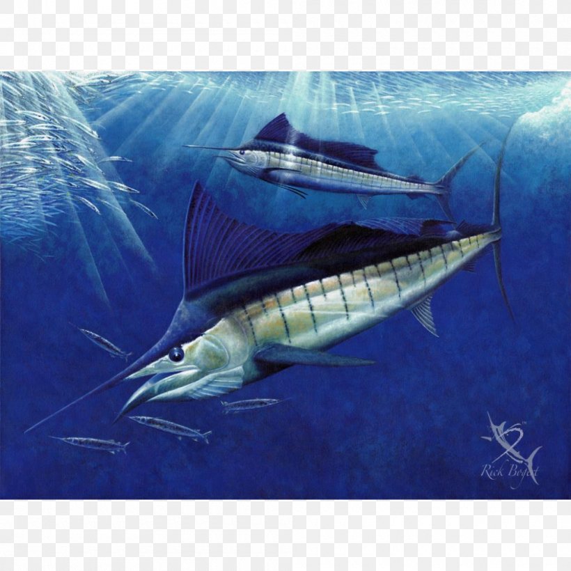 Swordfish Sailfish Atlantic Blue Marlin White Marlin Fin, PNG, 1000x1000px, Swordfish, Art, Atlantic Blue Marlin, Billfish, Bony Fish Download Free