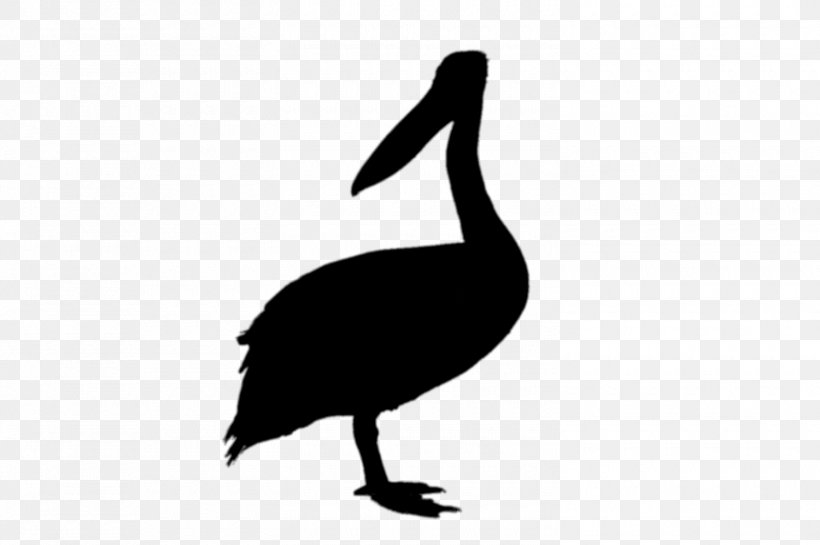 Goose Duck Black & White, PNG, 1500x998px, Goose, Beak, Bird, Black White M, Blackandwhite Download Free