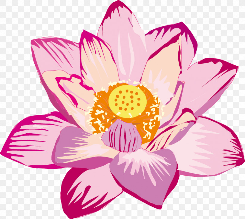 Lotus Flower, PNG, 842x751px, Lotus Flower, Aquatic Plant, Cut Flowers, Dahlia, Drawing Download Free