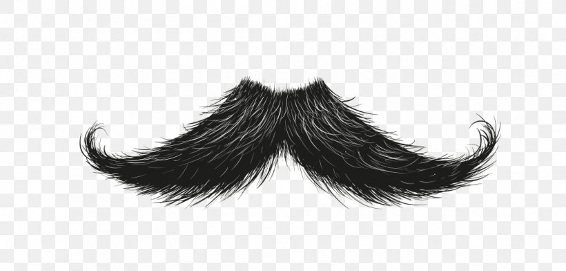 Moustache Goatee Beard Hairstyle, PNG, 1108x530px, Moustache, Barber,  Beard, Black Hair, Brown Hair Download Free