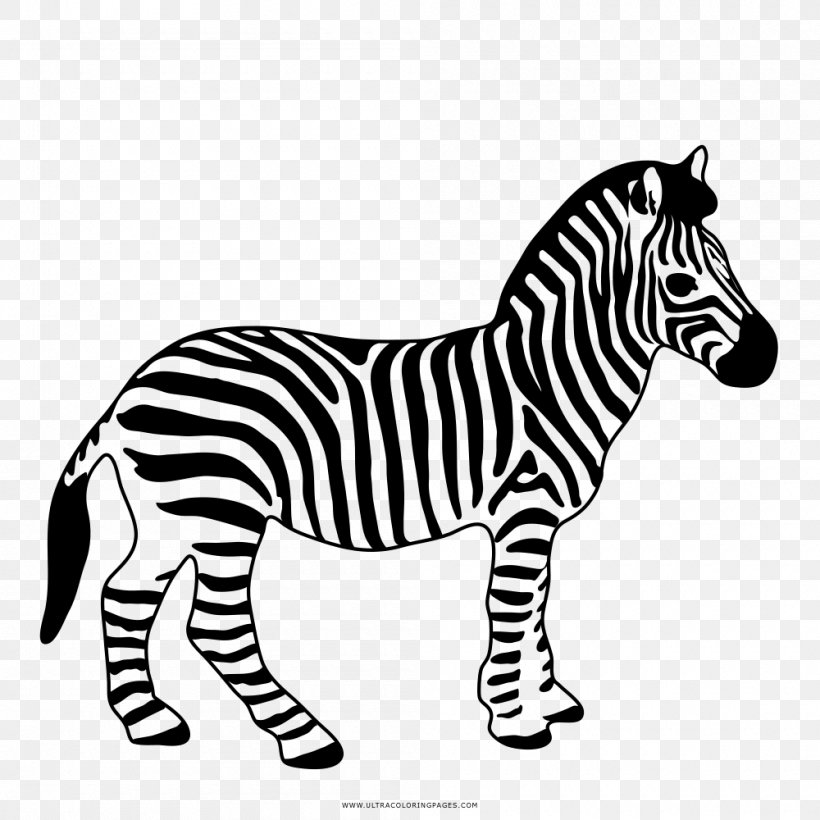 Safari Ltd Wildlife Zebra Horse Foal, PNG, 1000x1000px, Safari Ltd, Amazoncom, Animal, Animal Figure, Bengal Tiger Download Free