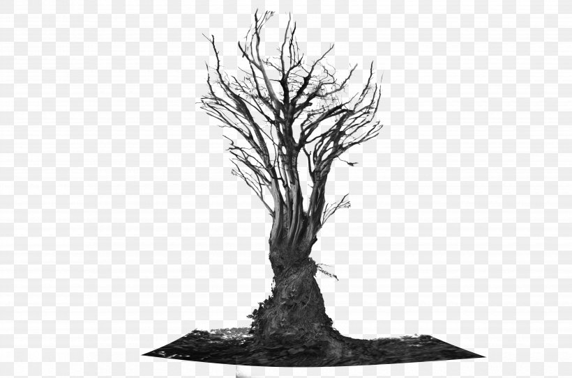 Salix Integra Tree Root Trunk, PNG, 6600x4371px, Salix Integra, Black And White, Branch, Deviantart, Houseplant Download Free