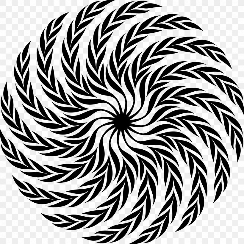 Golden Spiral Logarithmic Spiral Pattern, PNG, 2400x2400px, Spiral, Archimedean Spiral, Biomimetics, Black And White, Flowering Plant Download Free