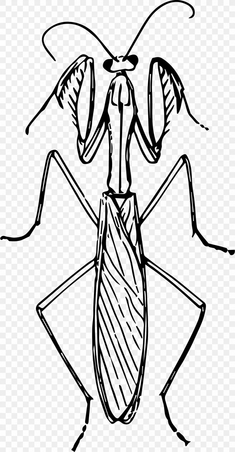 Mantis Insect Praying Hands Drawing Clip Art, PNG, 1218x2342px, Mantis, Animal, Artwork, Black And White, Coloring Book Download Free