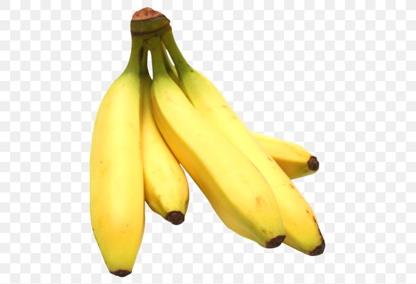 Saba Banana Cooking Banana Banana Bread, PNG, 500x561px, Saba Banana, Banana, Banana Bread, Banana Family, Banana Peel Download Free