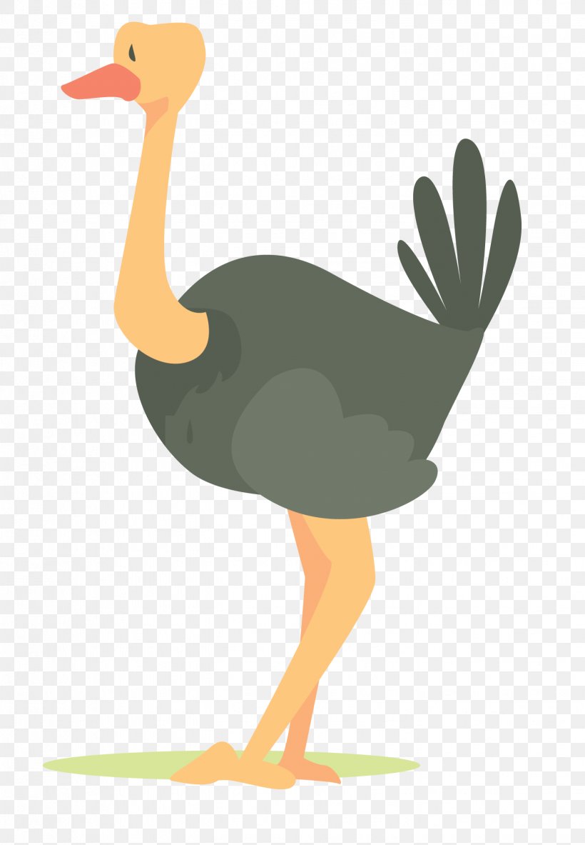 Common Ostrich Bird Clip Art, PNG, 1429x2062px, Common Ostrich, Animal, Beak, Bird, Cartoon Download Free