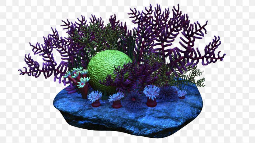 Coral Reef Clip Art, PNG, 1600x900px, Coral, Alcyonacea, Aquarium Decor, Coral Reef, Deepwater Coral Download Free
