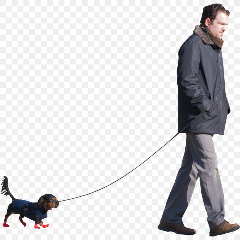 Dog Walking Puppy Dog Walks Man: A Six-Legged Odyssey, PNG, 1600x1600px, Dog, Bird Dog, Dog Breed, Dog Like Mammal, Dog Walking Download Free