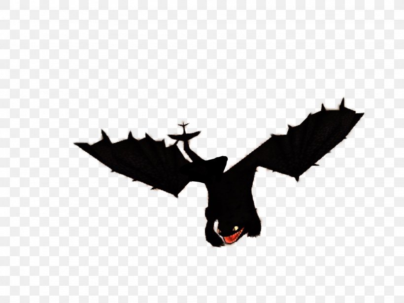 How To Train Your Dragon Toothless YouTube Character, PNG, 2048x1536px, How To Train Your Dragon, Bat, Beak, Bird, Bird Of Prey Download Free