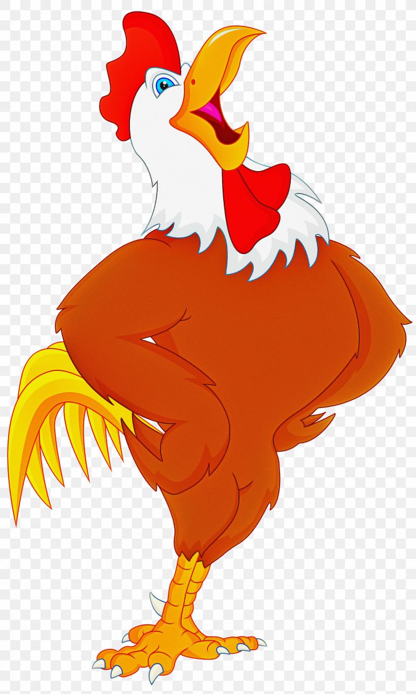 Rooster Chicken Bird Cartoon Beak, PNG, 1800x3000px, Rooster, Beak, Bird, Cartoon, Chicken Download Free